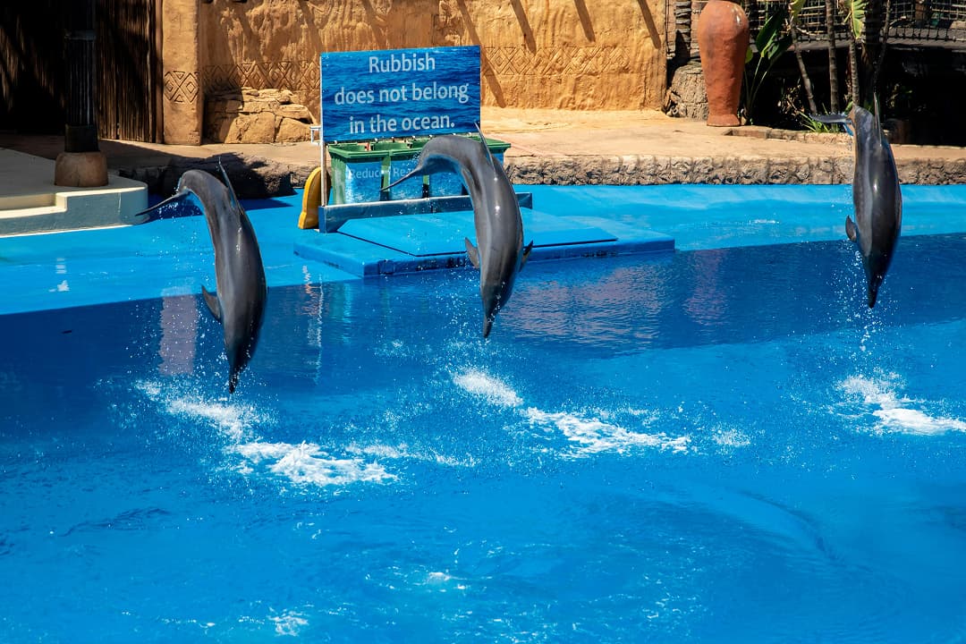 SeaWorld San Diego