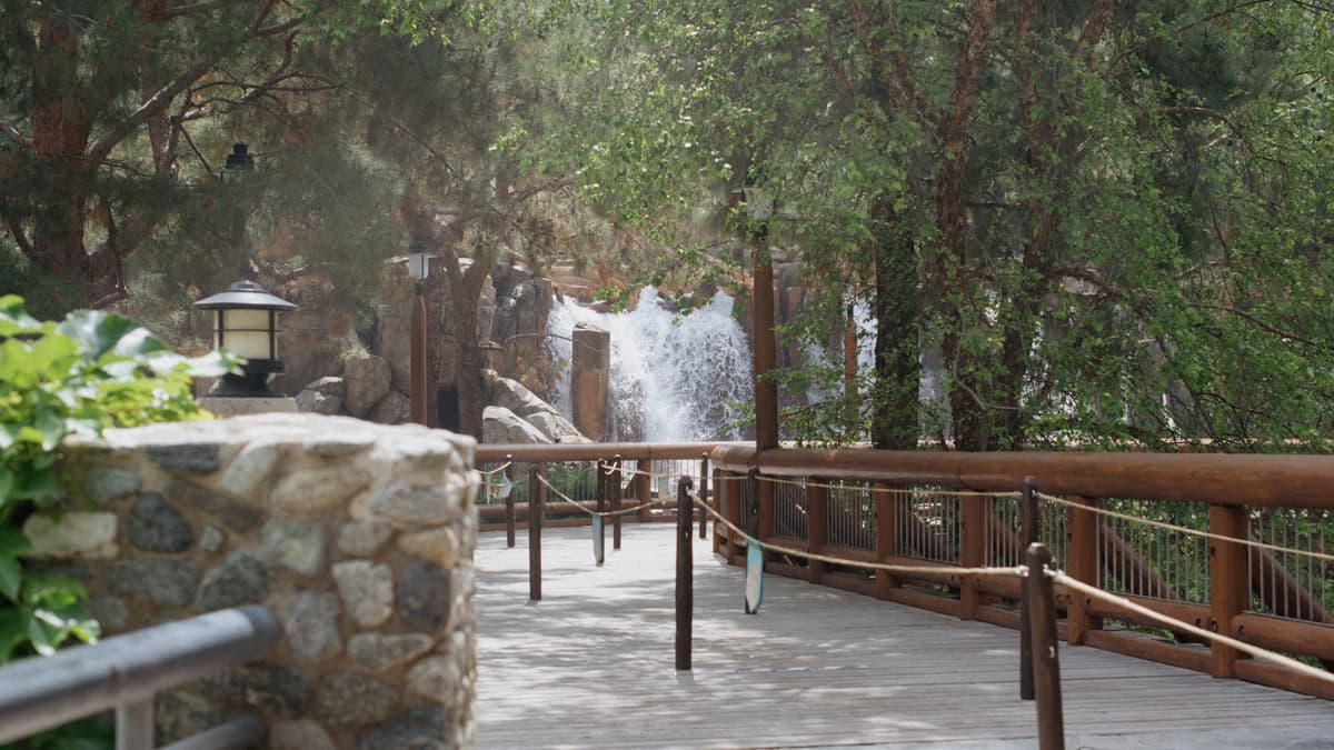 Disneyland Wait Time Tips