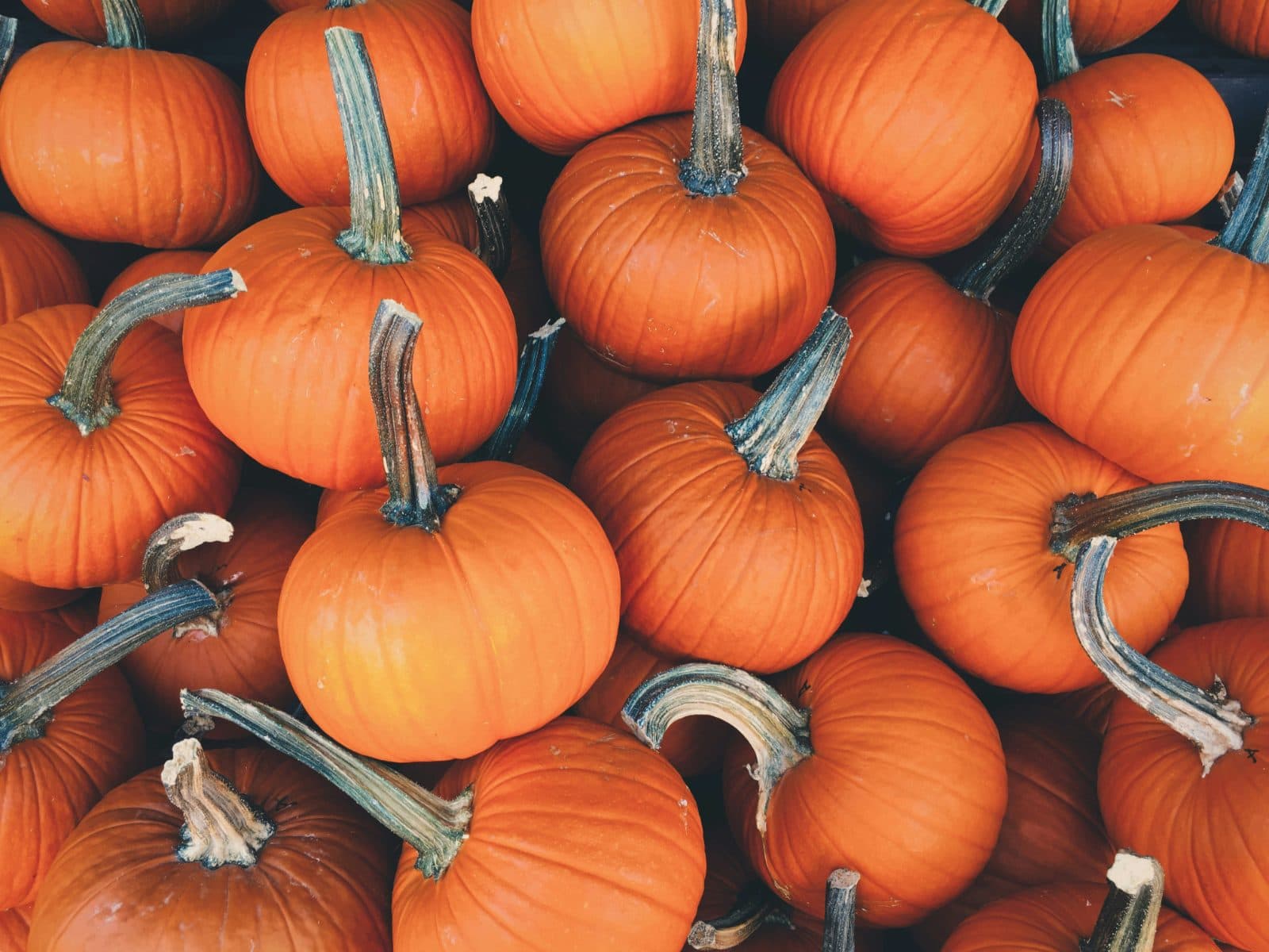Halloween Time at Disneyland: The Complete Guide